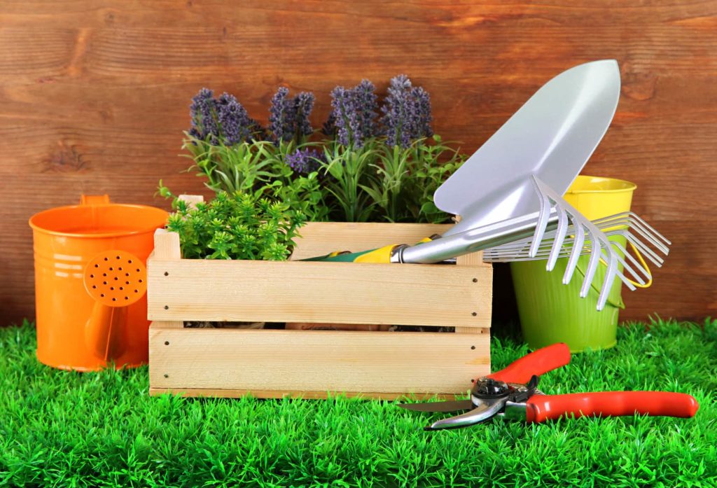 Под Тверью расширят производство товаров для сада и огорода Под Тверью расширят производство товаров для сада и огорода