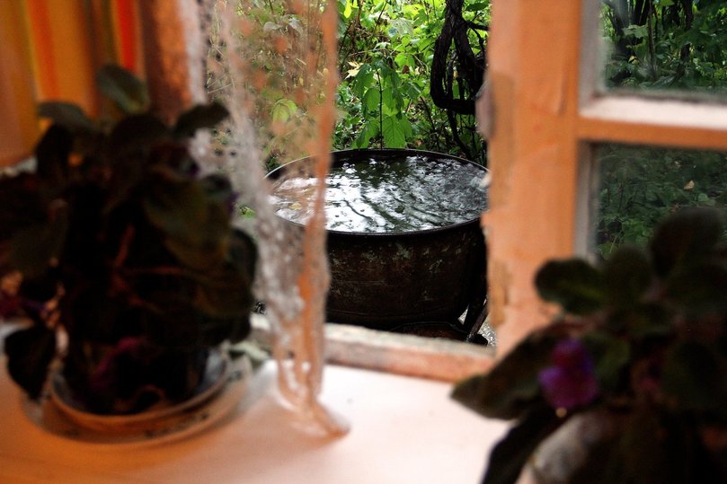 Фотограф из Твери Наталья Капралова стала финалистом всероссийского конкурса