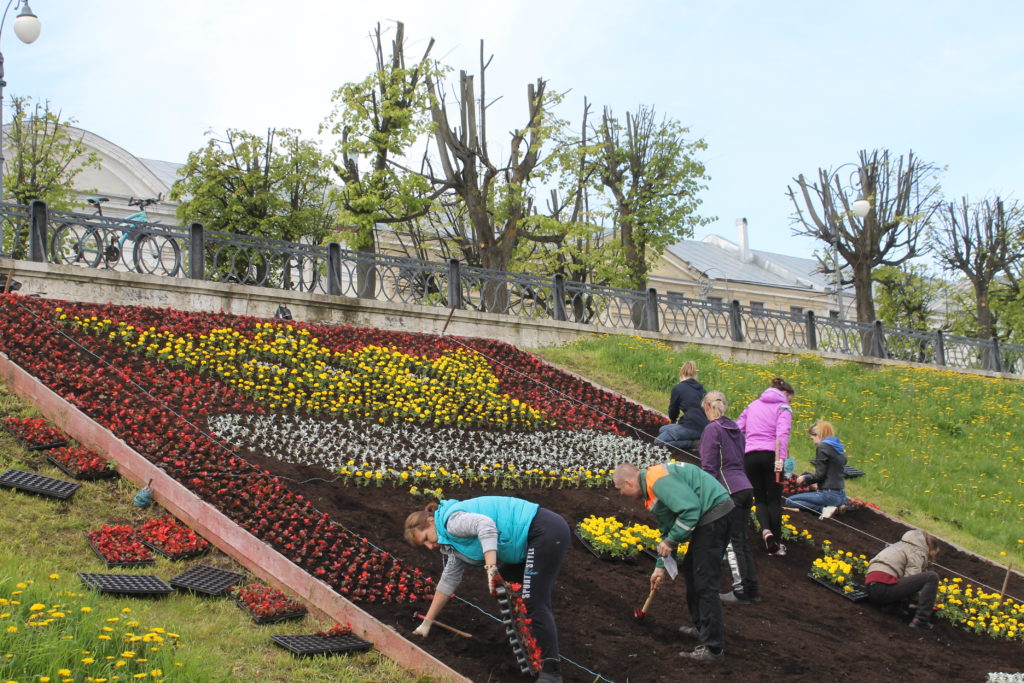 В Твери оформляют цветники и косят траву