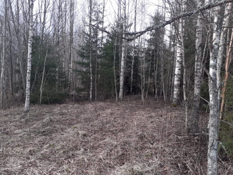 Житель Тверской области прятал в лесу украденный трактор