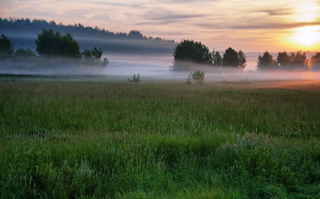 В Тверской области первые дни лета будут прохладными