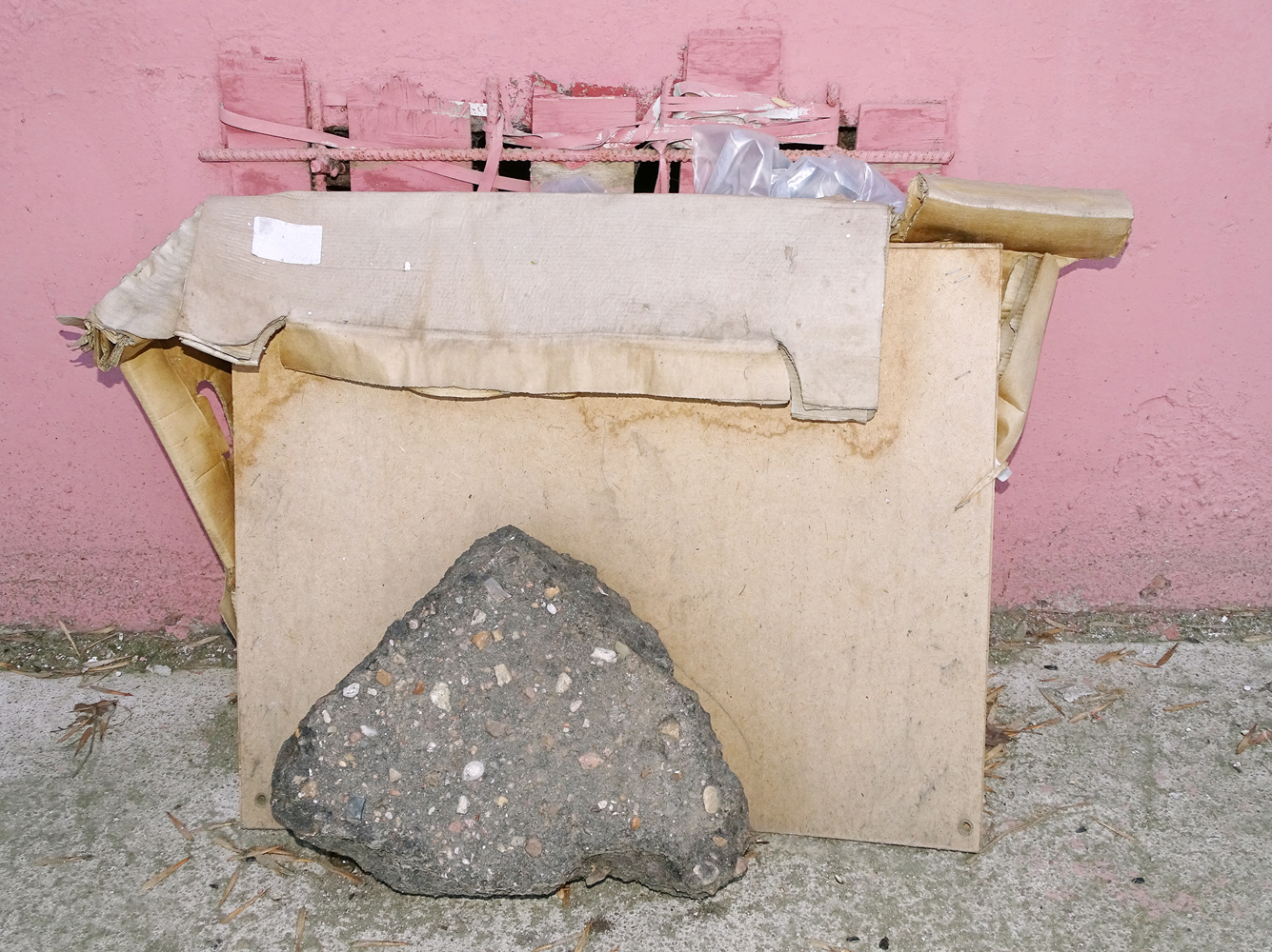 Известный тверской фотохудожник Женя Миронов посвятил свой новый проект бездомным животным