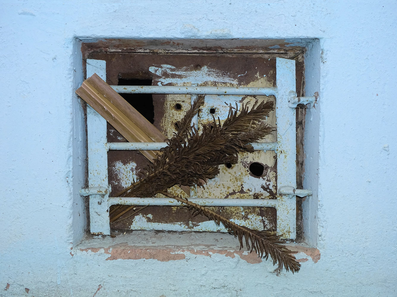 Известный тверской фотохудожник Женя Миронов посвятил свой новый проект бездомным животным