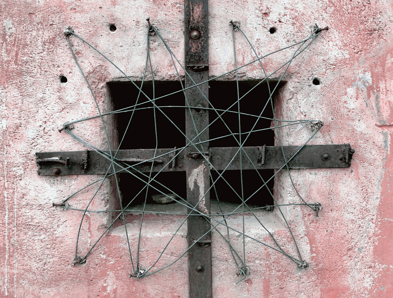 Известный тверской фотохудожник Женя Миронов посвятил свой новый проект бездомным животным