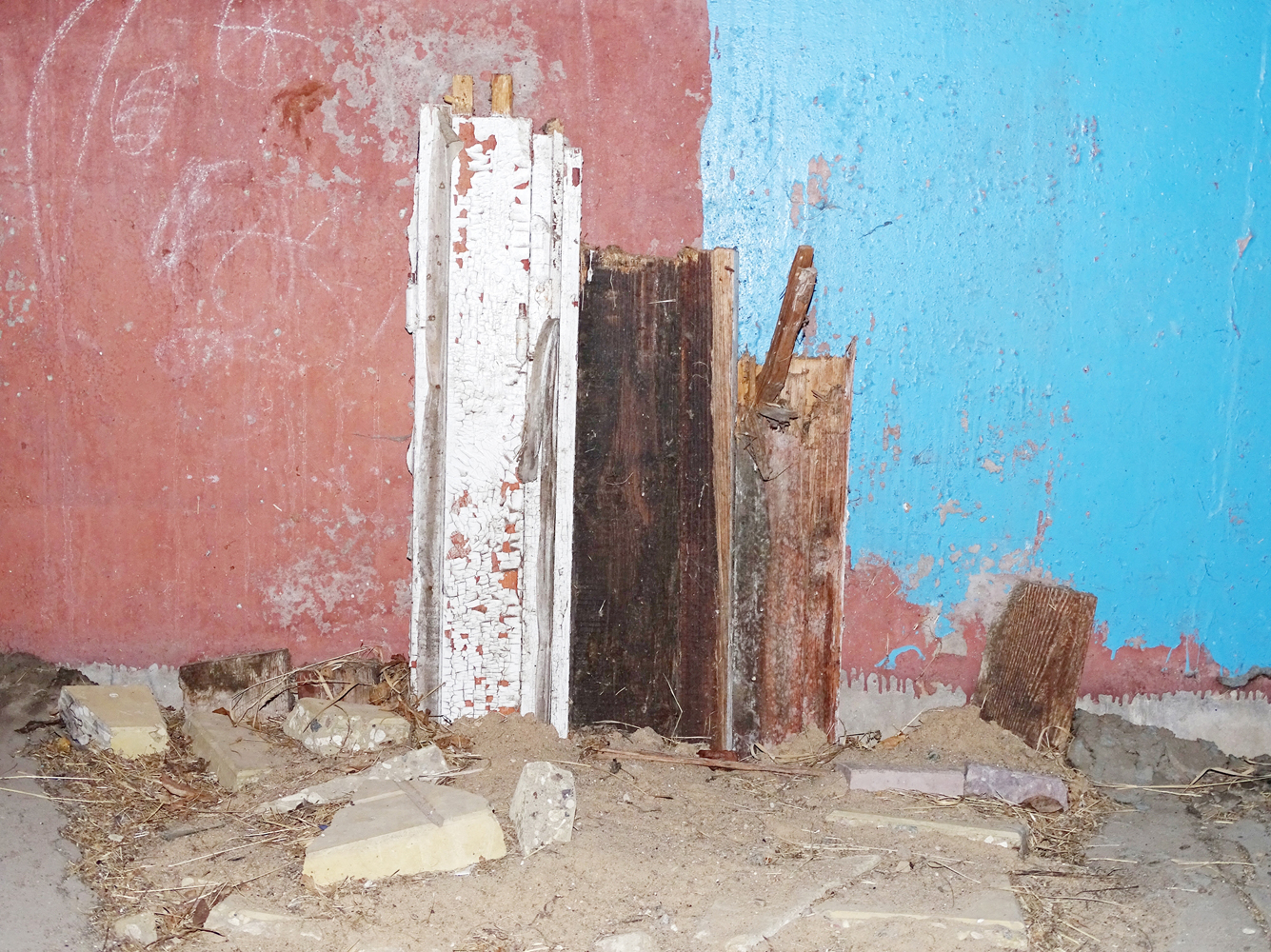 Известный тверской фотохудожник Женя Миронов посвятил свой новый проект бездомным животным