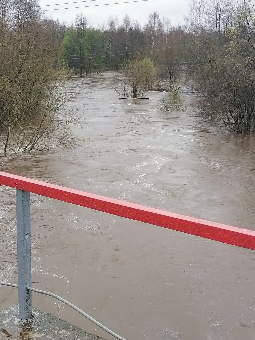 В Тверской области ливневые потоки превратили улицы в реки