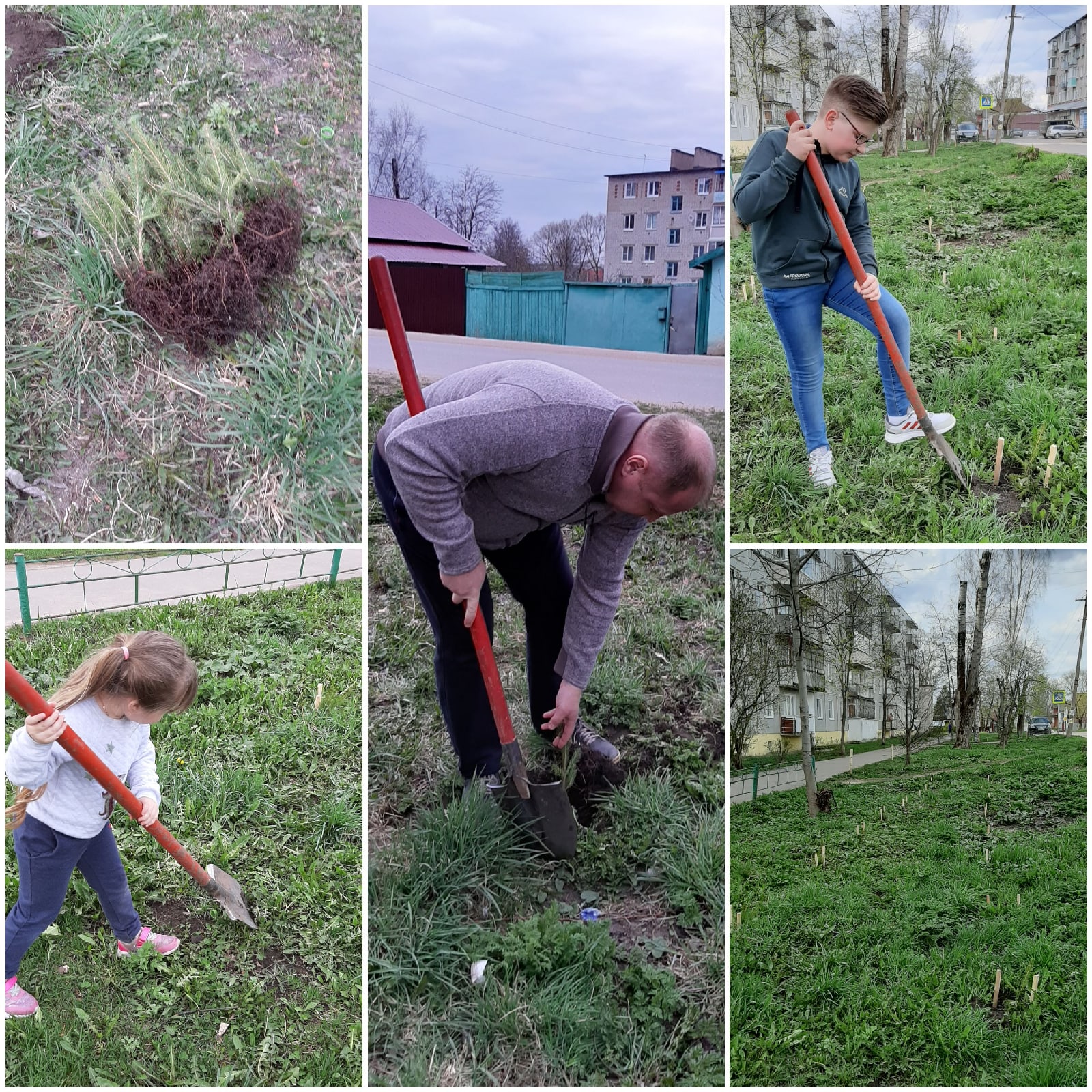 Сад Победы и бумажные журавли: семья педагога из Тверской области почтила ветеранов