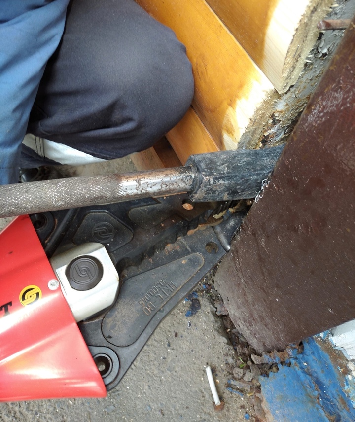 Тверские пожарные спасли котенка, попавшего в западню