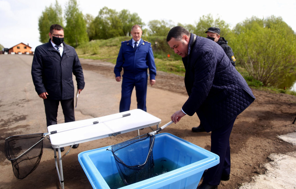 Губернатор Игорь Руденя выпустил в Волгу мальков стерляди