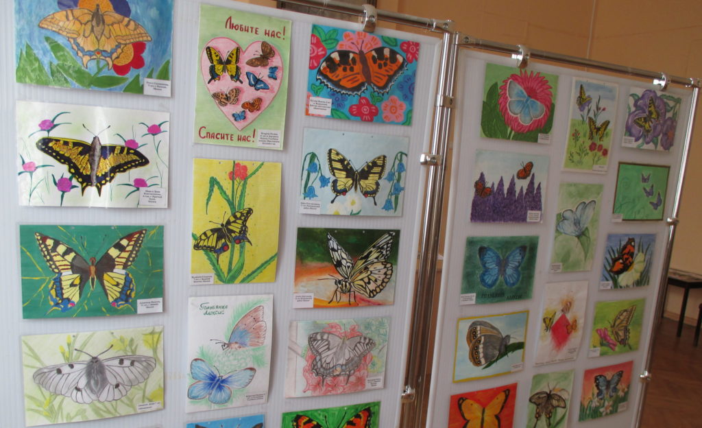 В Верхневолжье назвали имена победителей творческого конкурса «Красная книга Тверской области глазами детей» В Верхневолжье назвали имена победителей творческого конкурса «Красная книга Тверской области глазами детей»