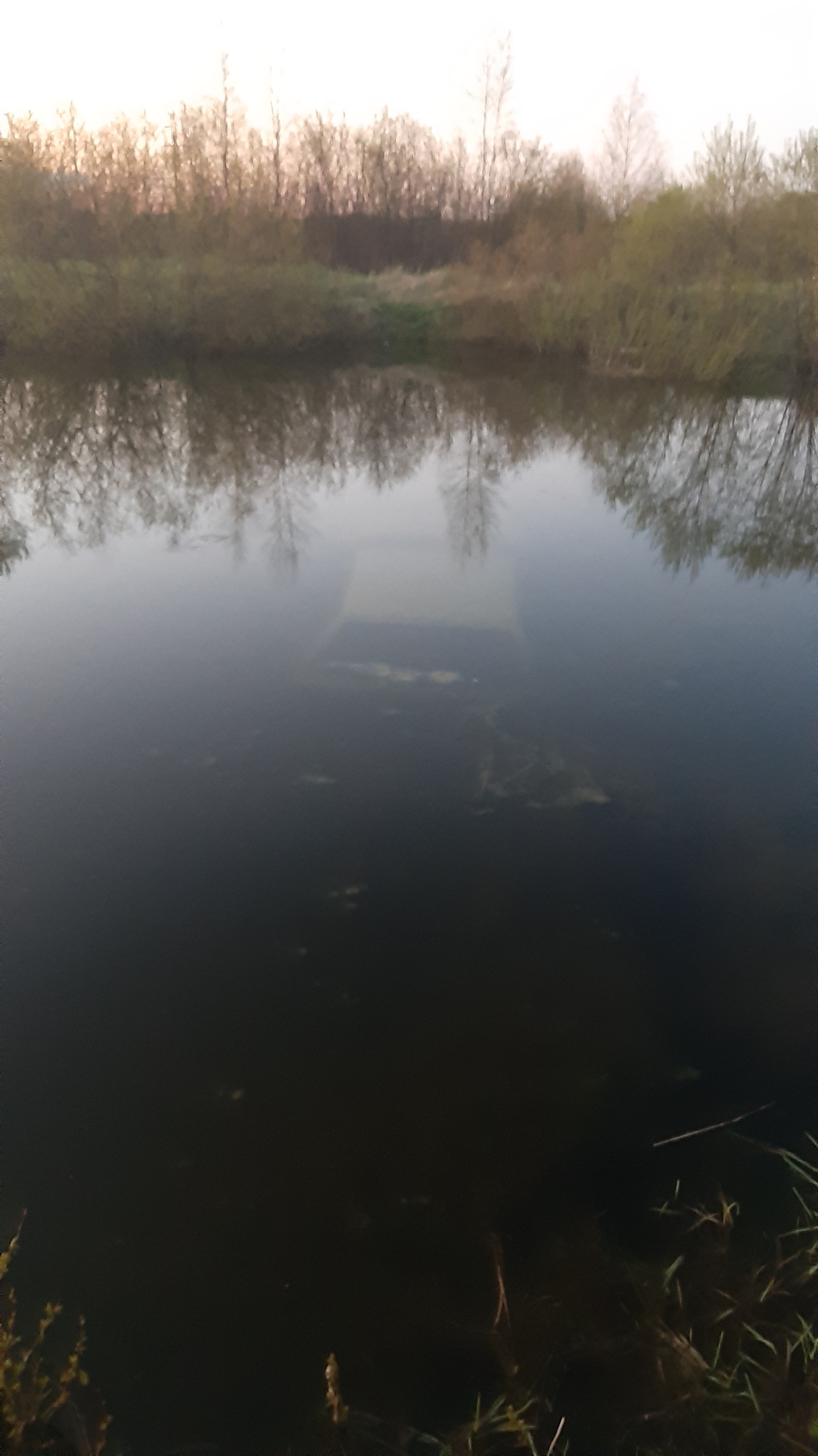 В Тверской области угонщики утопили автомобиль в пруду