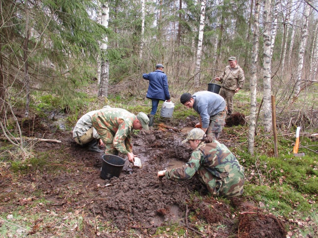 На болоте в Тверской области найдены останки советского солдата