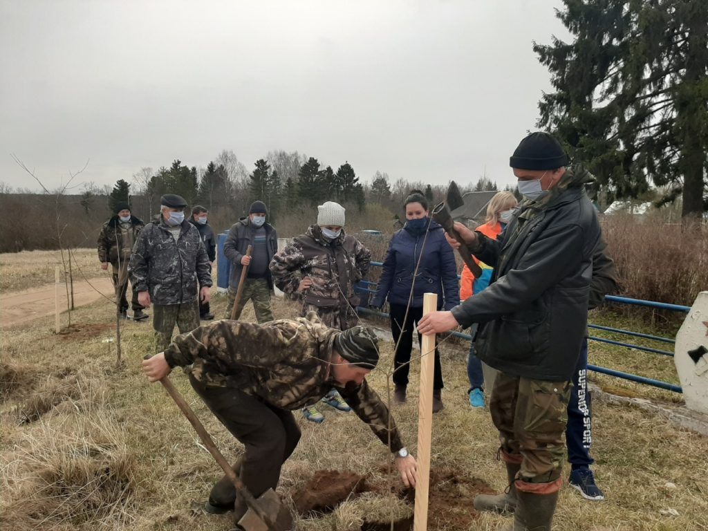 В Тверской области высажено 6,3 млн деревьев В Тверской области высажено 6,3 млн деревьев