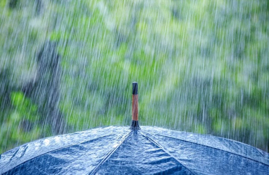 Перед праздником в Тверской области пройдут дожди