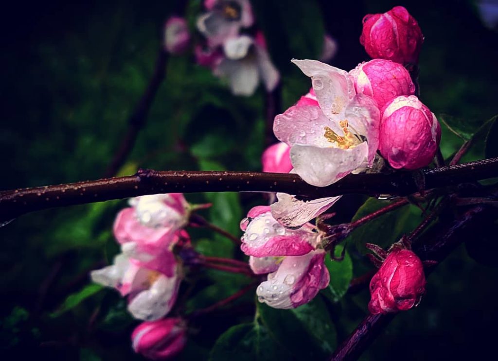 В Тверскую область придет долгожданное тепло В Тверскую область придет долгожданное тепло