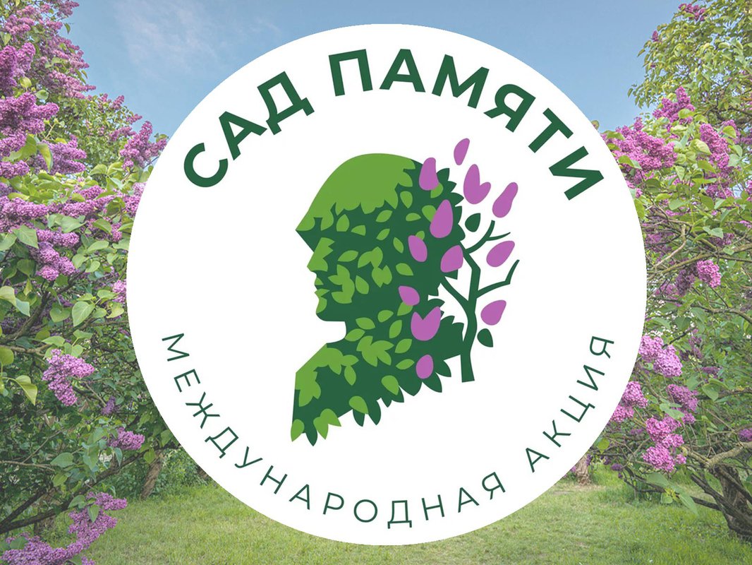 В Тверской области высадили «Сад Памяти» из 3,5 млн деревьев В Тверской области высадили «Сад Памяти» из 3,5 млн деревьев