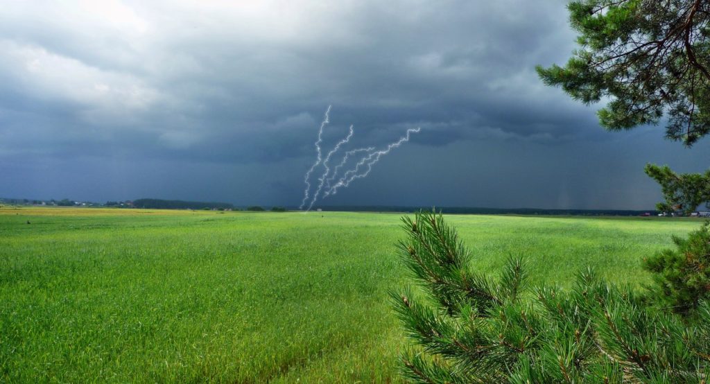 На Тверскую область надвигается гроза и сильный ветер На Тверскую область надвигается гроза и сильный ветер