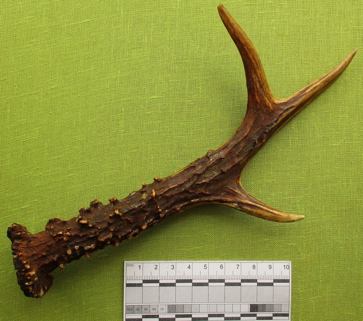 Музей в Тверской области получил подарки на профессиональный праздник