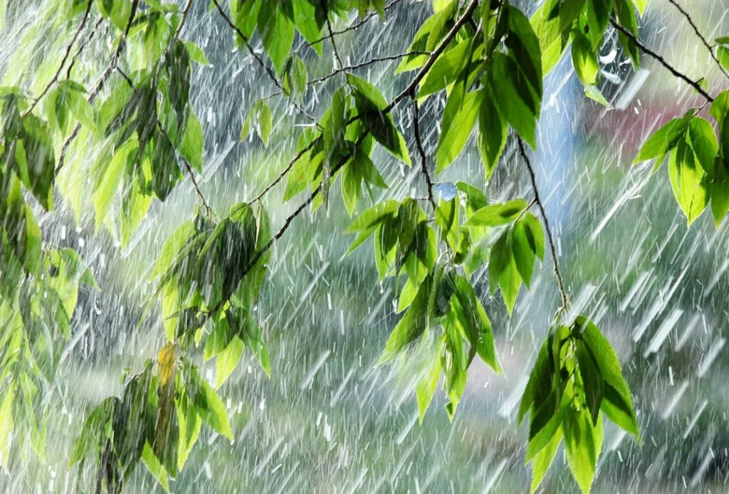 Тверскую область накроют дожди