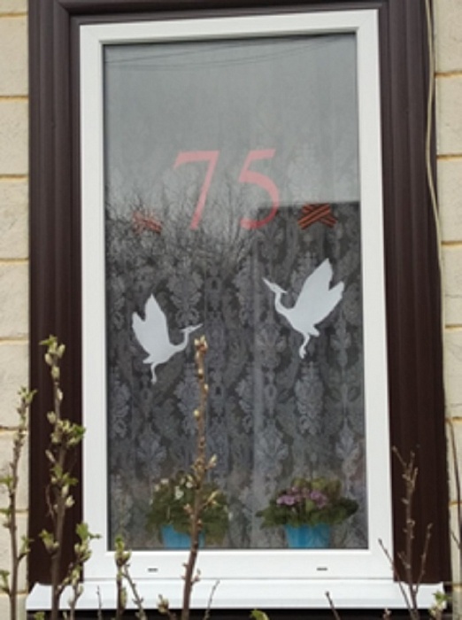 Как в Андреаполском районе отметили День Победы