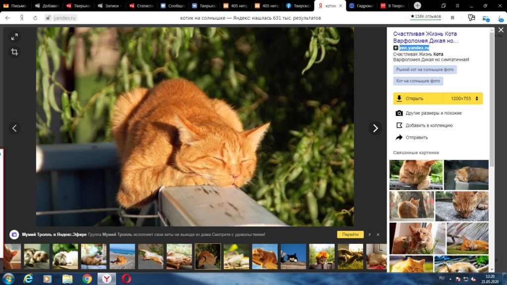В Тверскую область скоро вернется тепло
