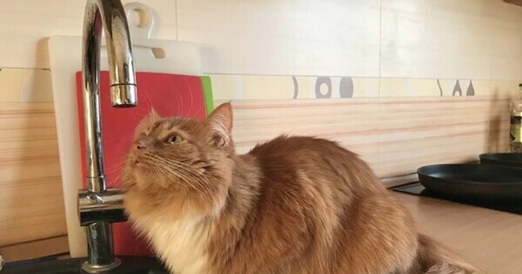 Опубликован график отключения горячей воды в Твери Опубликован график отключения горячей воды в Твери