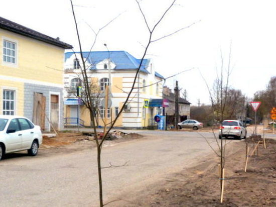 В городе Тверской области посадили молодые деревья В городе Тверской области посадили молодые деревья