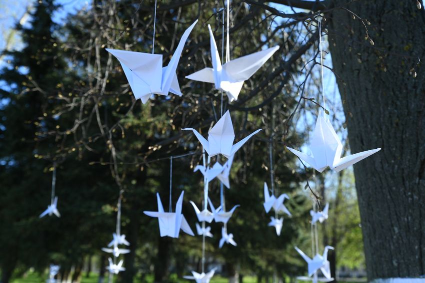 Как отметили 75-й День Победы в Тверской области