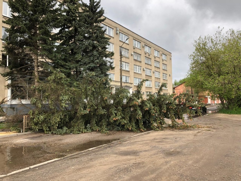 Стихия повалила деревья в Твери Стихия повалила деревья в Твери