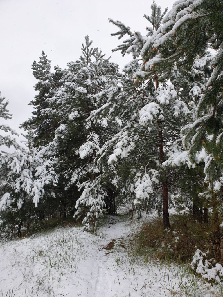 На Тверскую область надвигается снежный циклон