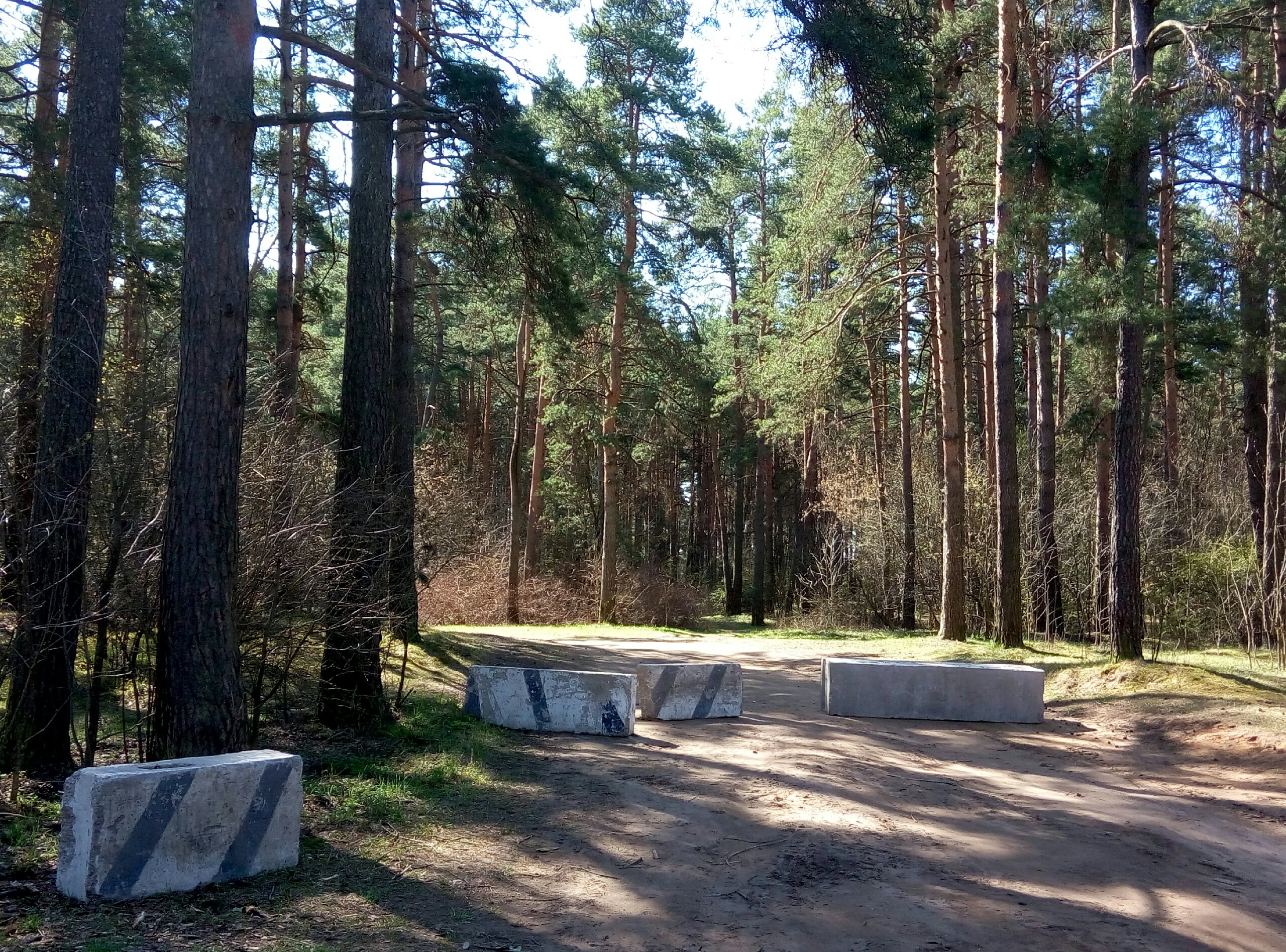 В Первомайской роще в Твери подъезд к Тьмаке перегородили бетонными блоками