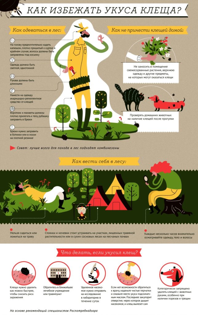 Роспотребнадзор сообщил о необычных способах заражения клещевым энцефалитом