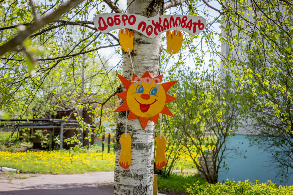 Жительницы Лихославльского района украсили деревню необычными арт-объектами