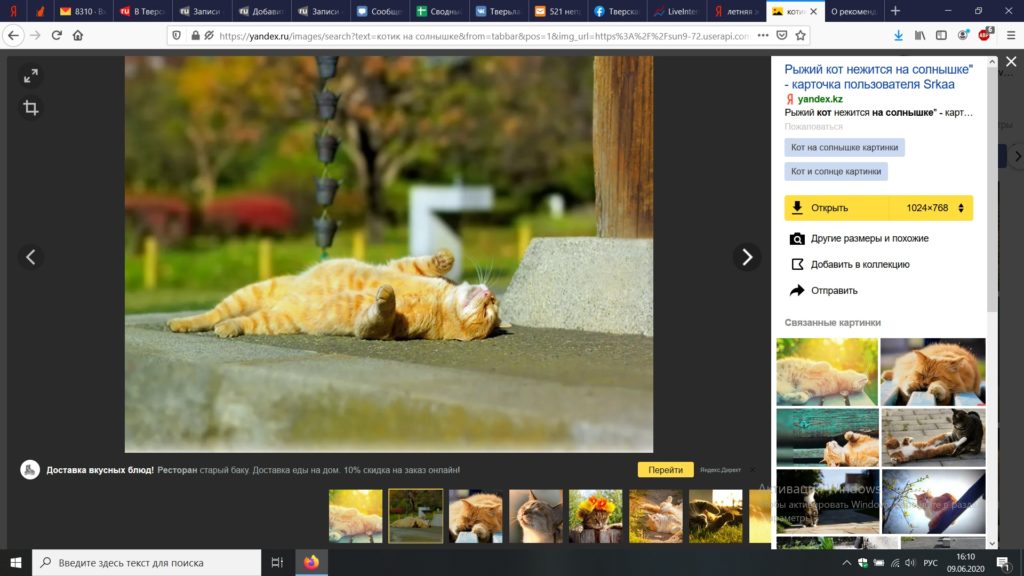 В Роспотребнадзоре по Тверской области рассказали, как пережить летнюю жару