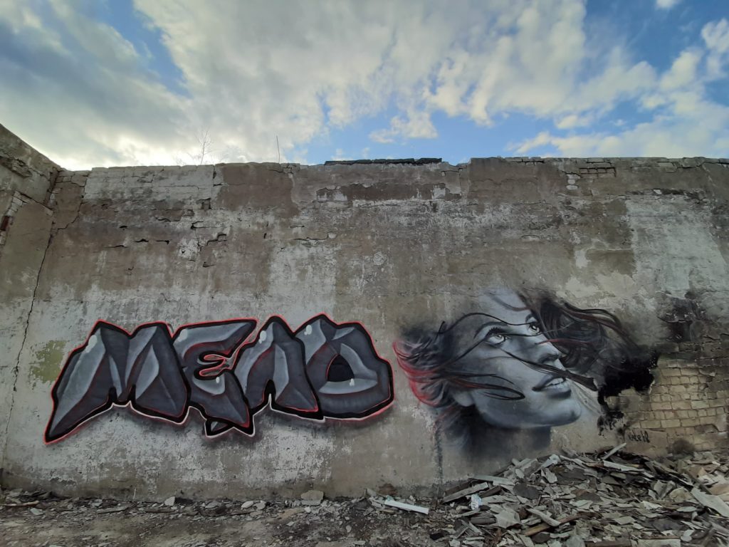 Новую картину в стиле стрит-арт создала тверская художница на стене заброшки