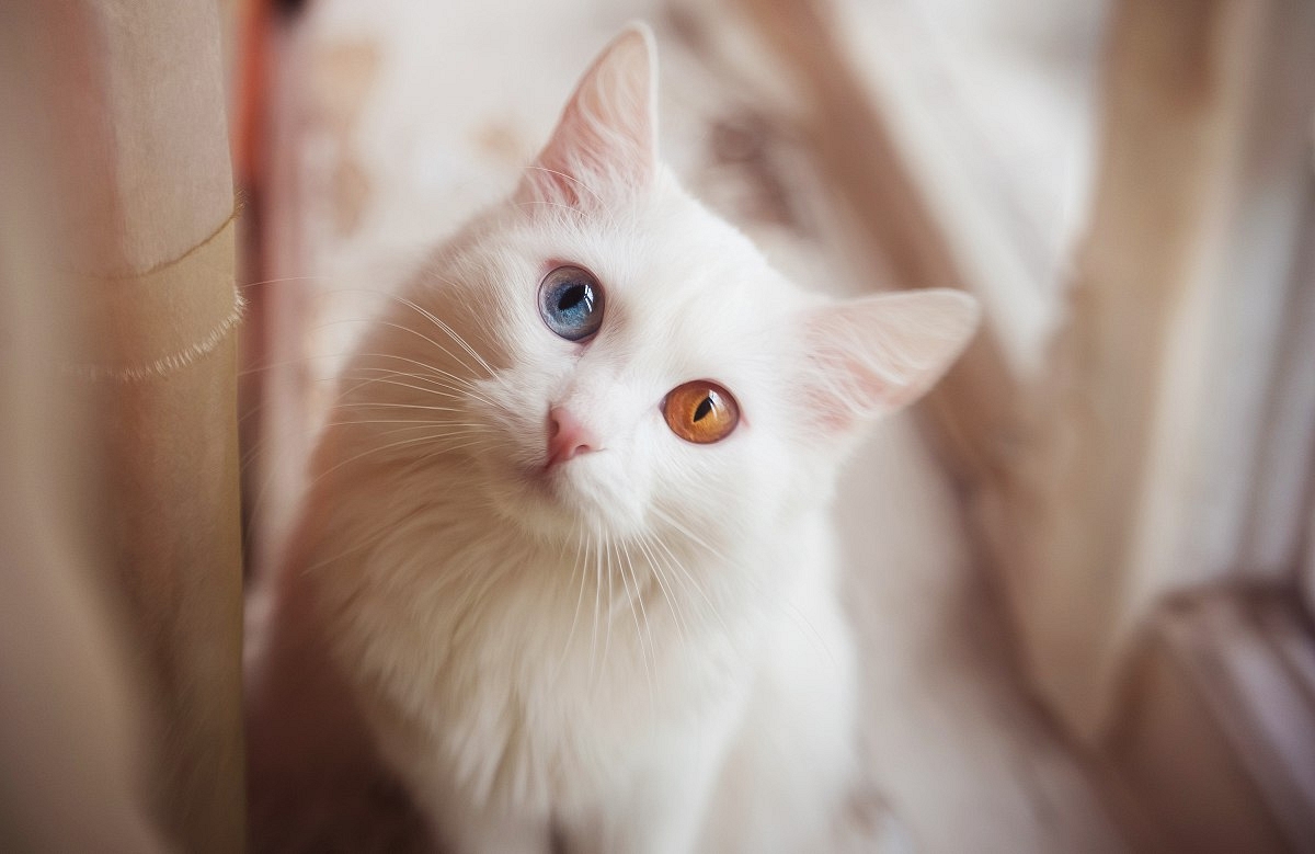 ТОП-10 Светланы Рудаковой в фотовыпуске журнала "Тверьлайф"