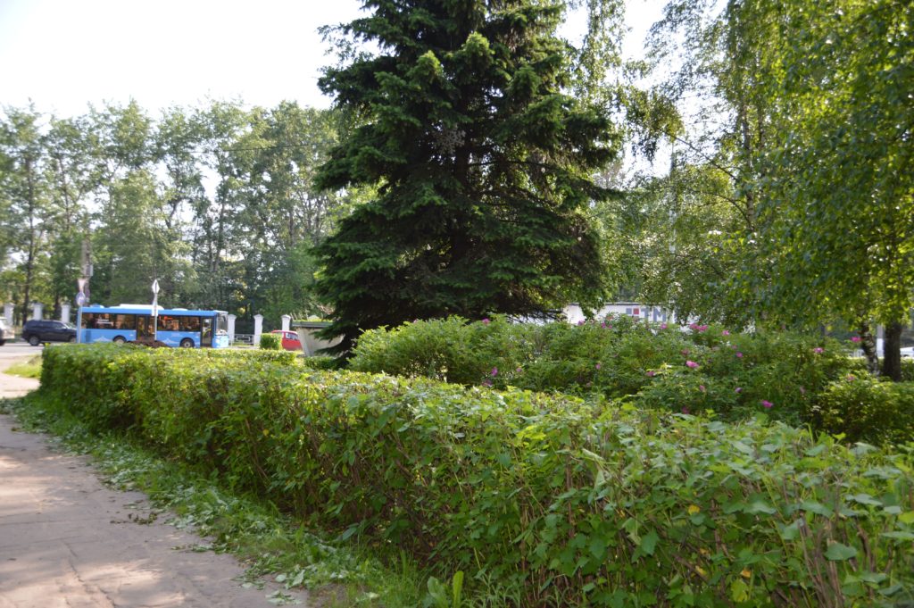 Сезонные работы по благоустройству и озеленению проходят на улицах Твери Сезонные работы по благоустройству и озеленению проходят на улицах Твери