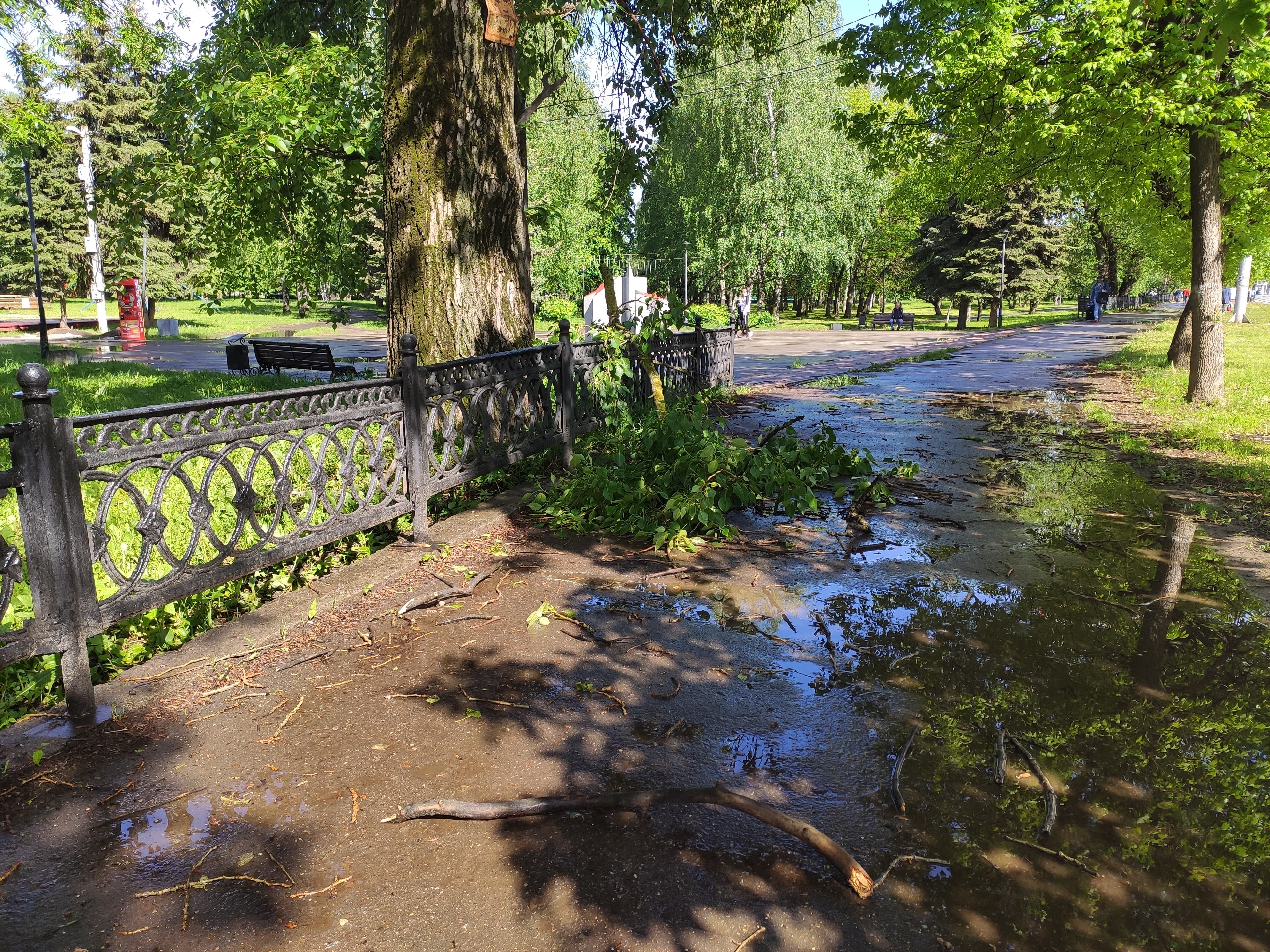 В Твери прогремела гроза