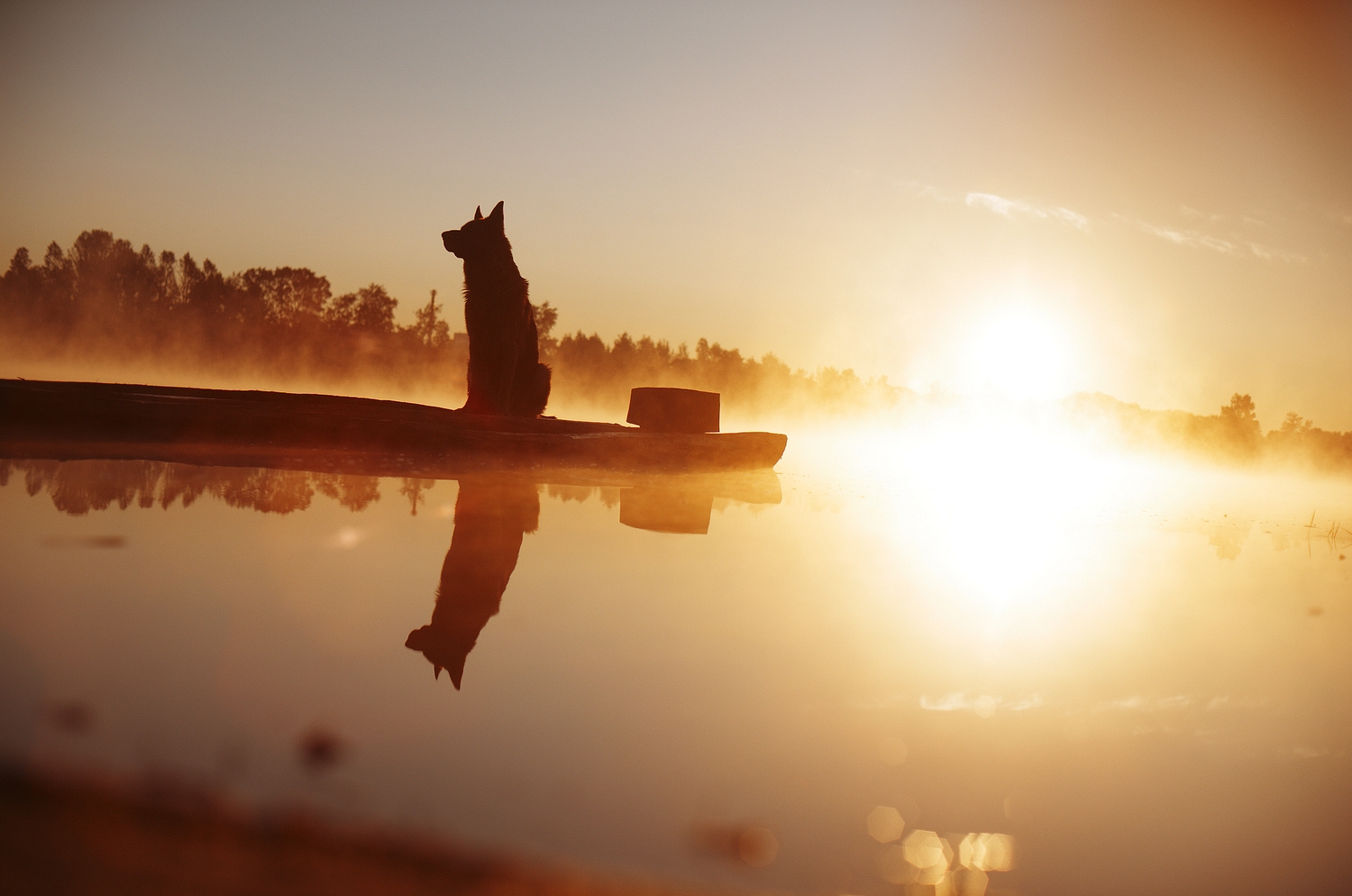 ТОП-10 Светланы Рудаковой в фотовыпуске журнала "Тверьлайф"