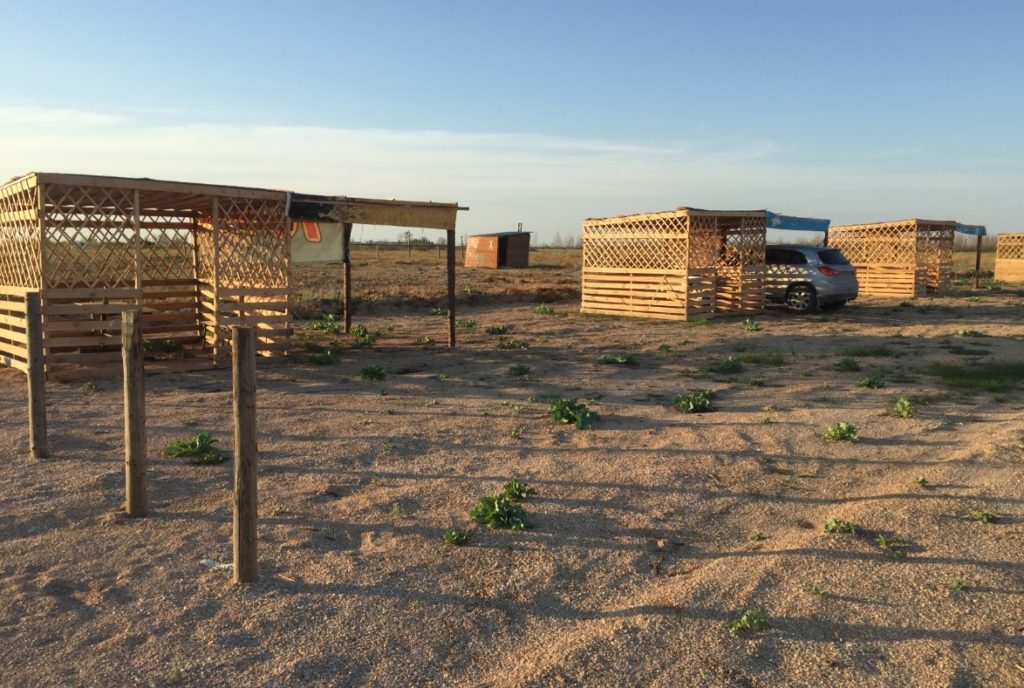 Автотуризм в Ейске – где находятся автокемпинги