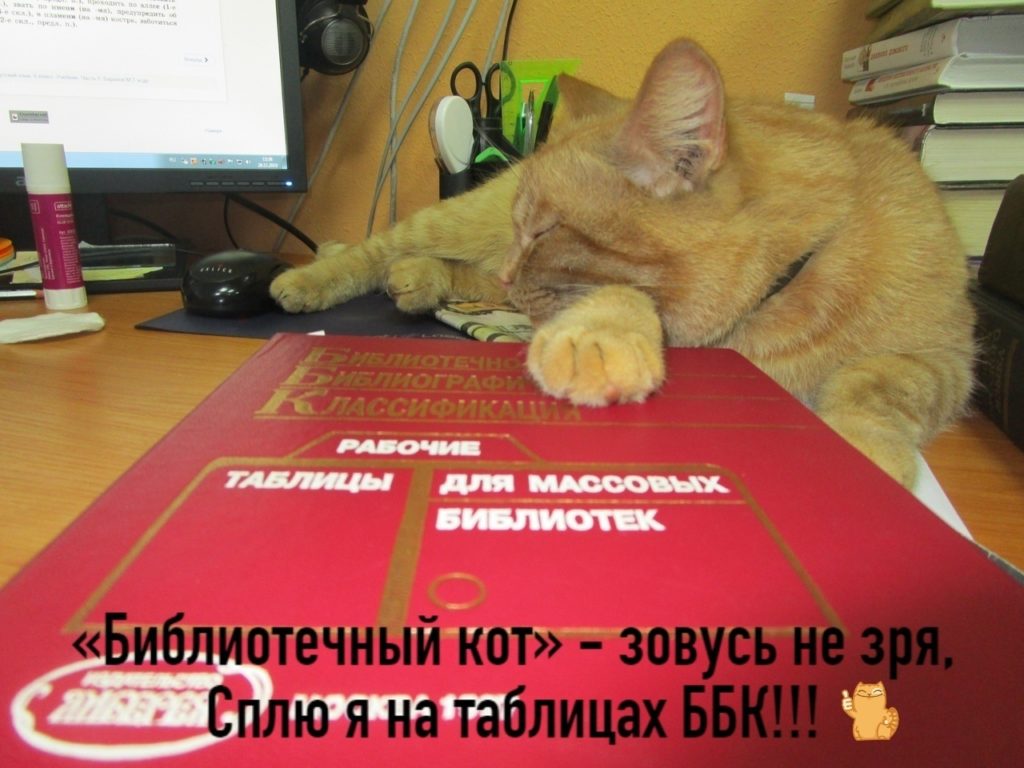 Работающий в библиотеке Тверской области кот Степан просит проголосовать за него