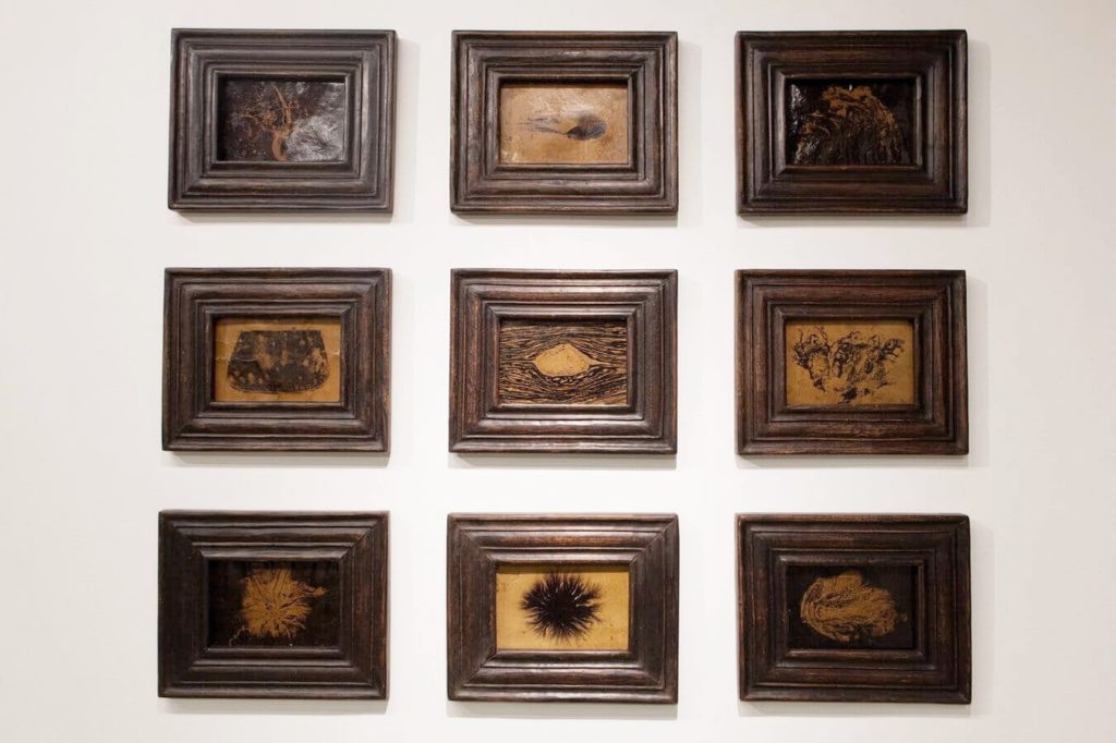 12 вопросов для известного фотографа Жени Миронова