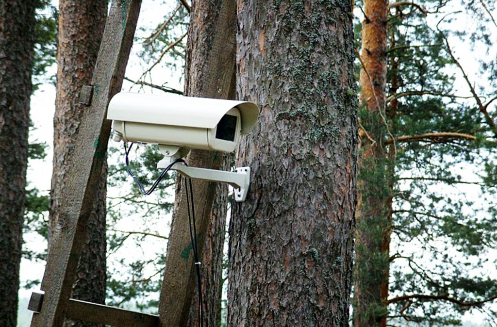 Огонь не пройдет: в лесах Тверской области установлены камеры на базах МегаФона
