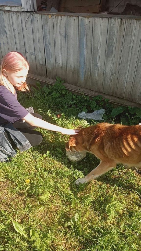 Для истощенной собаки и ее щенят ищут дом в Тверской области Для истощенной собаки и ее щенят ищут дом в Тверской области