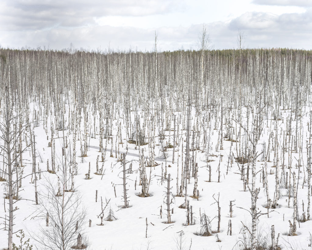 Федор Савинцев: «Мне интересно, как же эта букашка может о себе столько мнить»
