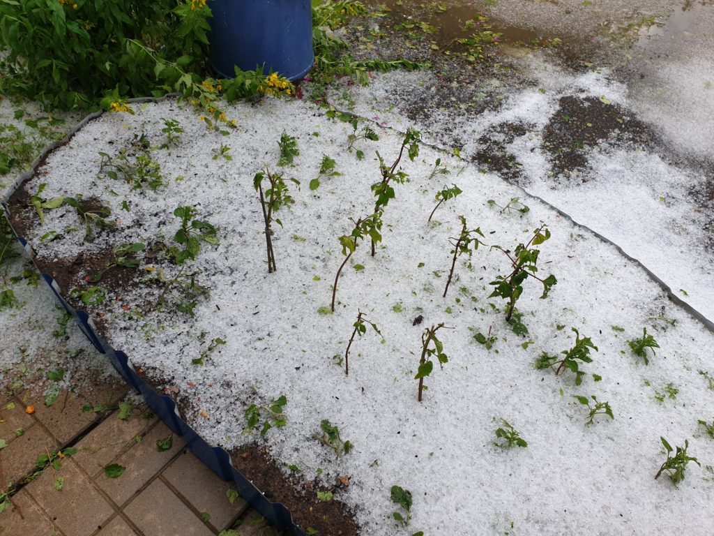 На Рамешки в Тверской области обрушилась мощная гроза и выпал град