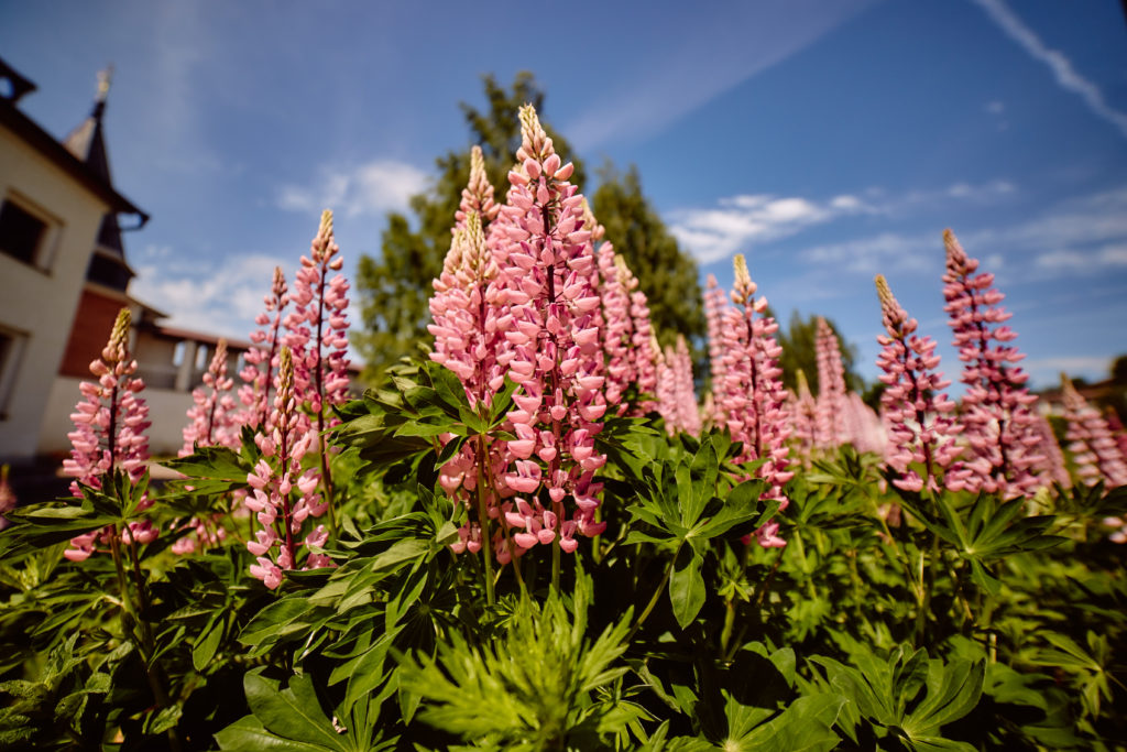 Краса земли Тверской: Старица глазами фотокорреспондента «Тверьлайф»