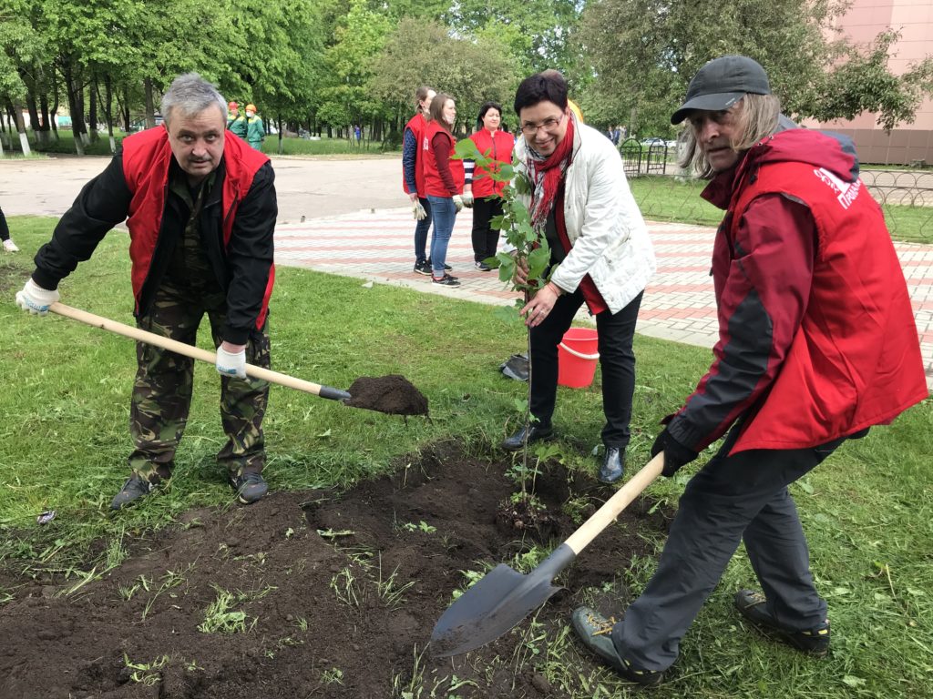 Новая каштановая аллея появилась в парке Дворца культуры «Пролетарка» в Твери