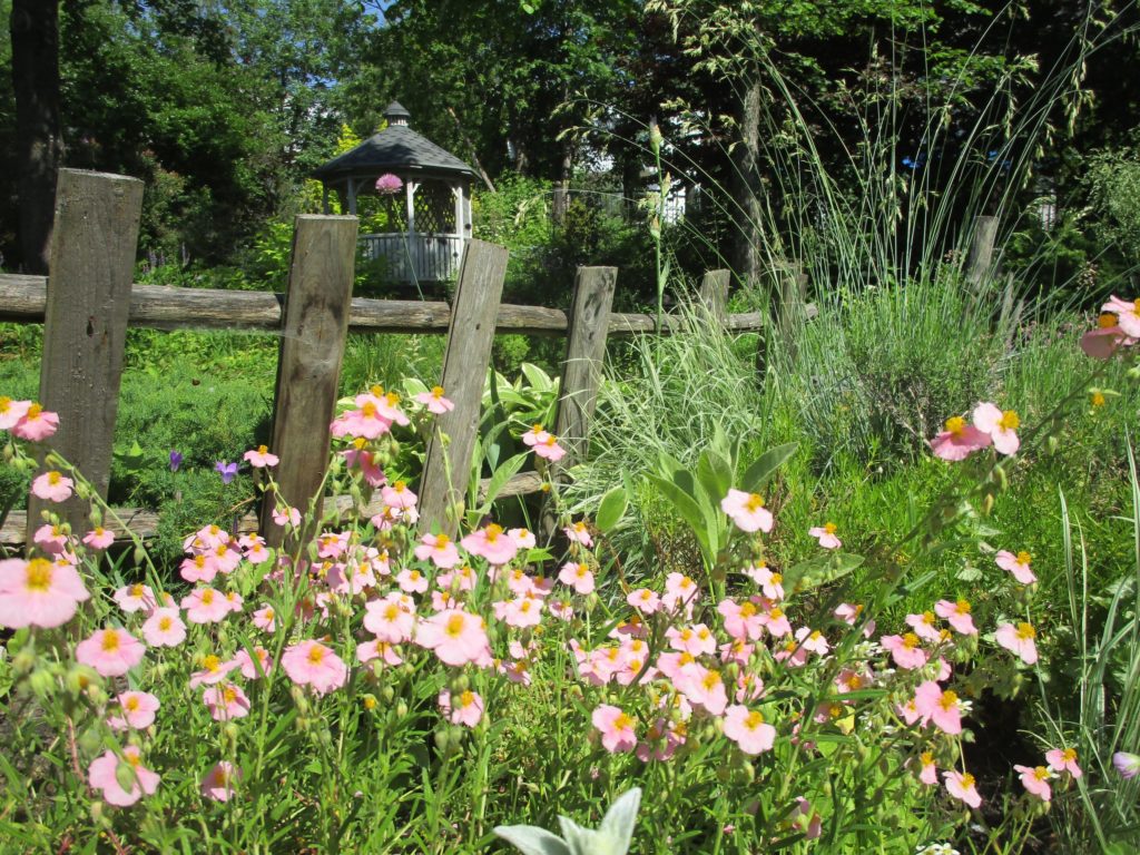 В Твери парк Ботанического сада открыли для посетителей