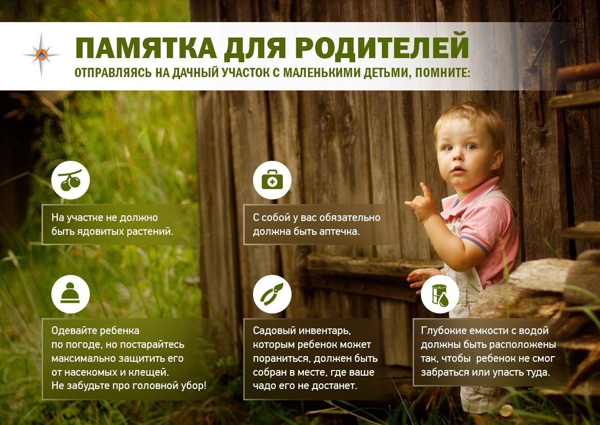 В МЧС России по Тверской области рассказали, как безопасно отдыхать с детьми на даче